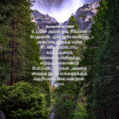 Picture 04 - யோவான் 20:2 TAMIRV - உடனே அவள் ஓடி, - Bible Verse Picture