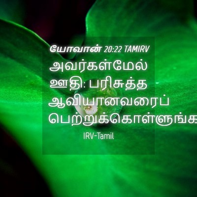Picture 04 - யோவான் 20:22 TAMIRV - அவர்கள்மேல் ஊதி: - Bible Verse Picture
