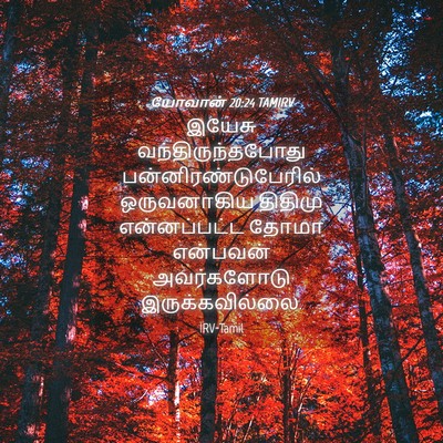 Picture 04 - யோவான் 20:24 TAMIRV - இயேசு - Bible Verse Picture