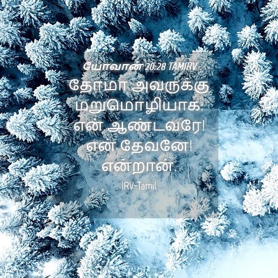 Picture 04 - யோவான் 20:28 TAMIRV - தோமா அவருக்கு - Bible Verse Picture