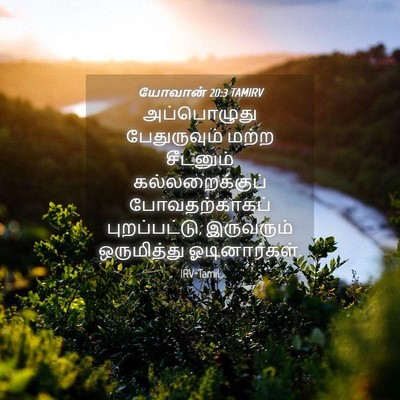 Picture 04 - யோவான் 20:3 TAMIRV - அப்பொழுது - Bible Verse Picture