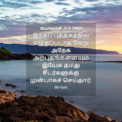 Picture 04 - யோவான் 20:30 TAMIRV - இந்தப் - Bible Verse Picture