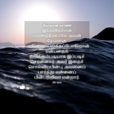 Picture 04 - யோவான் 21:19 TAMIRV - இந்தவிதமான - Bible Verse Picture