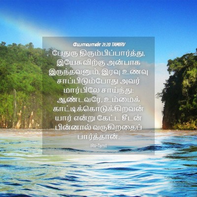 Picture 04 - யோவான் 21:20 TAMIRV - பேதுரு - Bible Verse Picture