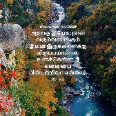 Picture 04 - யோவான் 21:22 TAMIRV - அதற்கு இயேசு: நான் - Bible Verse Picture