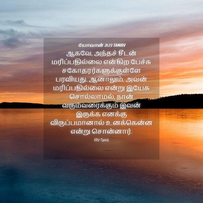 Picture 04 - யோவான் 21:23 TAMIRV - ஆகவே, அந்தச் சீடன் - Bible Verse Picture