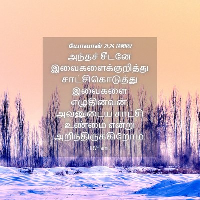 Picture 04 - யோவான் 21:24 TAMIRV - அந்தச் சீடனே - Bible Verse Picture
