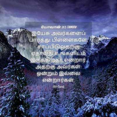 Picture 04 - யோவான் 21:5 TAMIRV - இயேசு அவர்களைப் - Bible Verse Picture