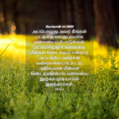 Picture 04 - யோவான் 21:6 TAMIRV - அப்பொழுது அவர்: - Bible Verse Picture