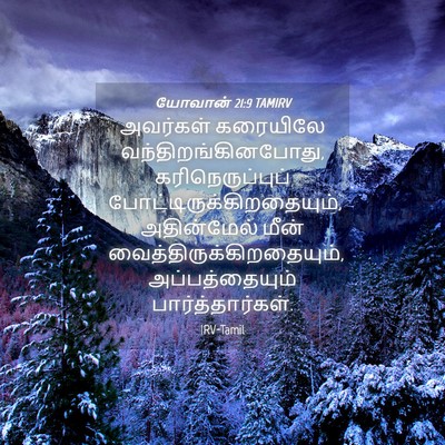 Picture 04 - யோவான் 21:9 TAMIRV - அவர்கள் கரையிலே - Bible Verse Picture