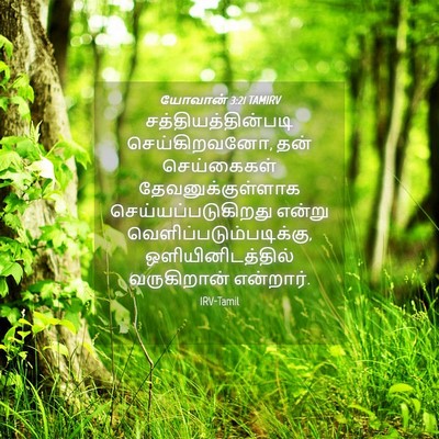 Picture 04 - யோவான் 3:21 TAMIRV - சத்தியத்தின்படி - Bible Verse Picture