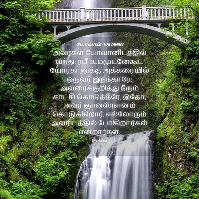 Picture 04 - யோவான் 3:26 TAMIRV - அவர்கள் - Bible Verse Picture