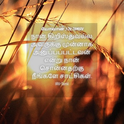 Picture 04 - யோவான் 3:28 TAMIRV - நான் - Bible Verse Picture