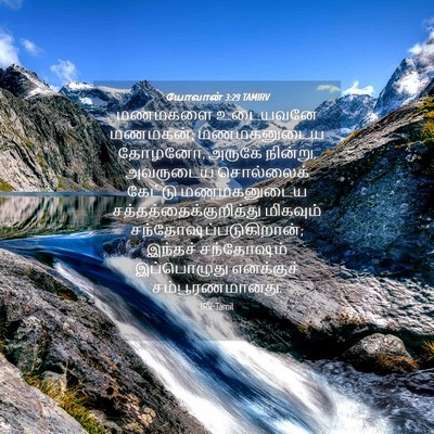 Picture 04 - யோவான் 3:29 TAMIRV - மணமகளை உடையவனே - Bible Verse Picture