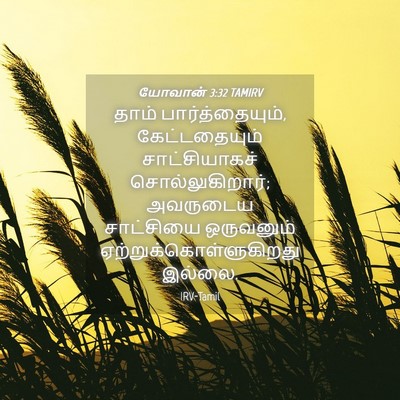 Picture 04 - யோவான் 3:32 TAMIRV - தாம் - Bible Verse Picture