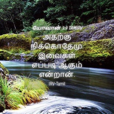 Picture 04 - யோவான் 3:9 TAMIRV - அதற்கு - Bible Verse Picture