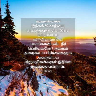 Picture 04 - யோவான் 4:12 TAMIRV - இந்தக் கிணற்றை - Bible Verse Picture