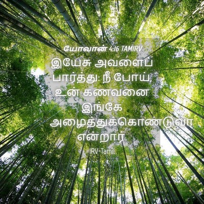 Picture 04 - யோவான் 4:16 TAMIRV - இயேசு அவளைப் - Bible Verse Picture