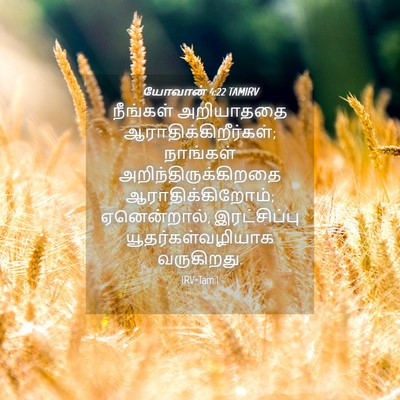 Picture 04 - யோவான் 4:22 TAMIRV - நீங்கள் அறியாததை - Bible Verse Picture