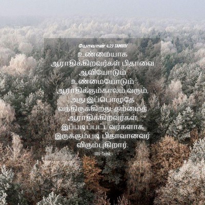 Picture 04 - யோவான் 4:23 TAMIRV - உண்மையாக - Bible Verse Picture