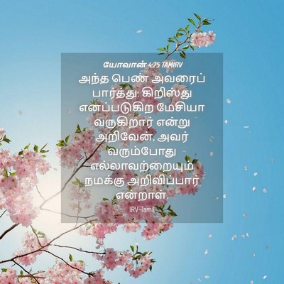 Picture 04 - யோவான் 4:25 TAMIRV - அந்த பெண் அவரைப் - Bible Verse Picture