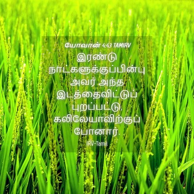 Picture 04 - யோவான் 4:43 TAMIRV - இரண்டு - Bible Verse Picture