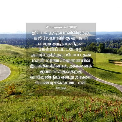Picture 04 - யோவான் 4:47 TAMIRV - இயேசு - Bible Verse Picture