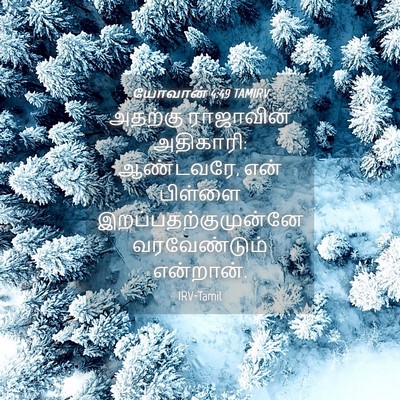 Picture 04 - யோவான் 4:49 TAMIRV - அதற்கு ராஜாவின் - Bible Verse Picture