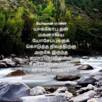 Picture 04 - யோவான் 4:5 TAMIRV - யாக்கோபு தன் - Bible Verse Picture