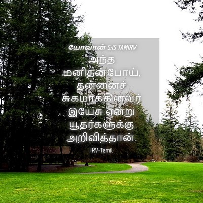 Picture 04 - யோவான் 5:15 TAMIRV - அந்த மனிதன்போய், - Bible Verse Picture