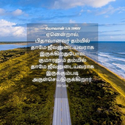Picture 04 - யோவான் 5:26 TAMIRV - ஏனென்றால், - Bible Verse Picture