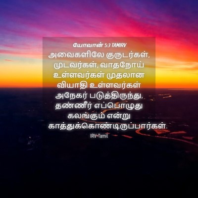 Picture 04 - யோவான் 5:3 TAMIRV - அவைகளிலே - Bible Verse Picture