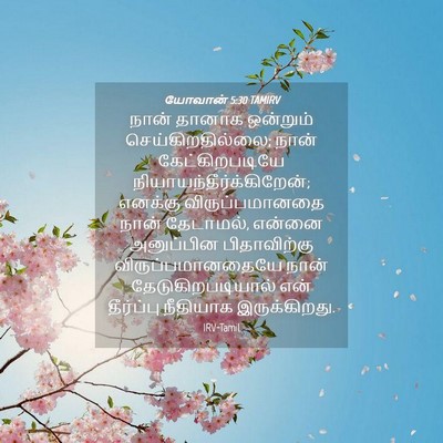 Picture 04 - யோவான் 5:30 TAMIRV - நான் தானாக - Bible Verse Picture