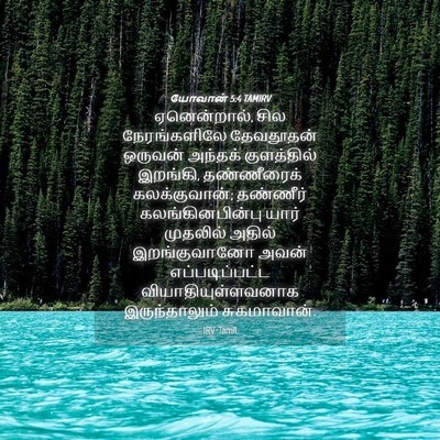 Picture 04 - யோவான் 5:4 TAMIRV - ஏனென்றால், சில - Bible Verse Picture