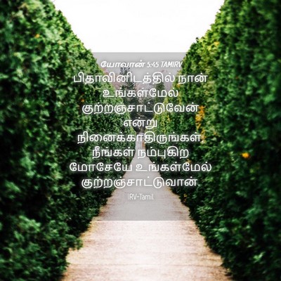 Picture 04 - யோவான் 5:45 TAMIRV - பிதாவினிடத்தில் - Bible Verse Picture