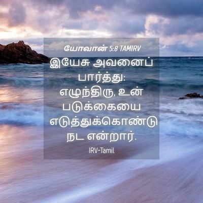 Picture 04 - யோவான் 5:8 TAMIRV - இயேசு அவனைப் - Bible Verse Picture