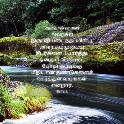 Picture 04 - யோவான் 6:12 TAMIRV - அவர்கள் - Bible Verse Picture