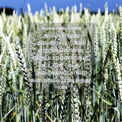 Picture 04 - யோவான் 6:21 TAMIRV - அப்பொழுது அவரைப் - Bible Verse Picture
