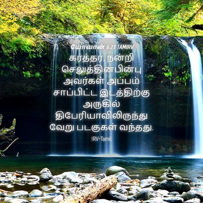Picture 04 - யோவான் 6:23 TAMIRV - கர்த்தர், நன்றி - Bible Verse Picture