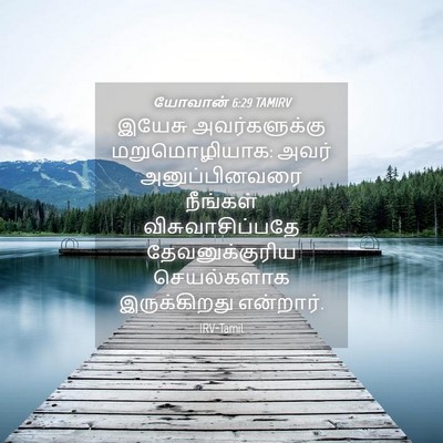 Picture 04 - யோவான் 6:29 TAMIRV - இயேசு அவர்களுக்கு - Bible Verse Picture