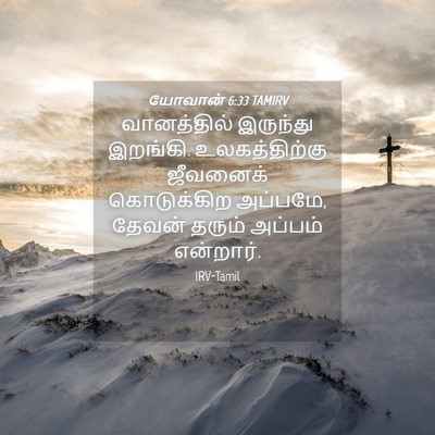 Picture 04 - யோவான் 6:33 TAMIRV - வானத்தில் இருந்து - Bible Verse Picture
