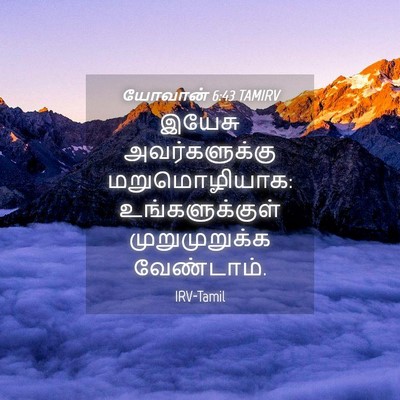Picture 04 - யோவான் 6:43 TAMIRV - இயேசு அவர்களுக்கு - Bible Verse Picture