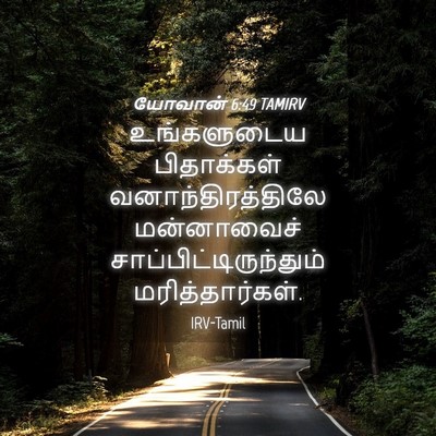 Picture 04 - யோவான் 6:49 TAMIRV - உங்களுடைய - Bible Verse Picture