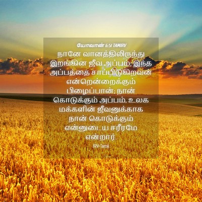 Picture 04 - யோவான் 6:51 TAMIRV - நானே - Bible Verse Picture