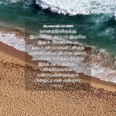 Picture 04 - யோவான் 6:58 TAMIRV - வானத்திலிருந்து - Bible Verse Picture