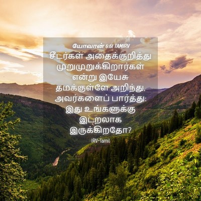 Picture 04 - யோவான் 6:61 TAMIRV - சீடர்கள் - Bible Verse Picture