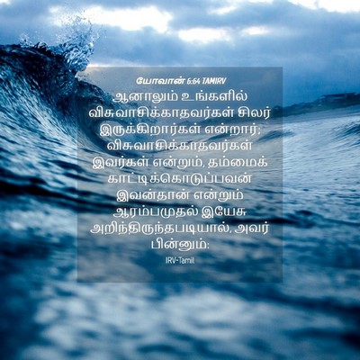 Picture 04 - யோவான் 6:64 TAMIRV - ஆனாலும் உங்களில் - Bible Verse Picture