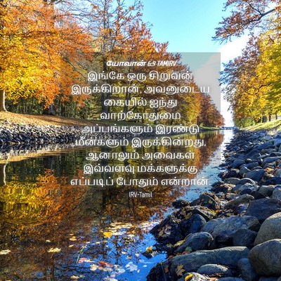 Picture 04 - யோவான் 6:9 TAMIRV - இங்கே ஒரு சிறுவன் - Bible Verse Picture