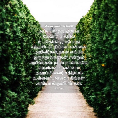 Picture 04 - யோவான் 7:28 TAMIRV - அப்பொழுது இயேசு - Bible Verse Picture