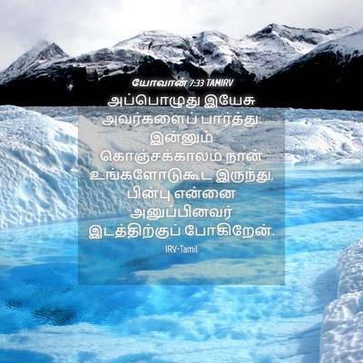 Picture 04 - யோவான் 7:33 TAMIRV - அப்பொழுது இயேசு - Bible Verse Picture